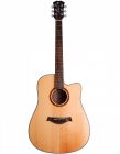 Акустическая гитара Alfabeto SOLID WMS41 NT + чехол