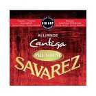 Savarez 510ARP Alliance Cantiga Standard Tension