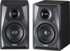 Teac LS-M100