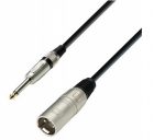 Jack 6.3 — XLR male BIG CFJ