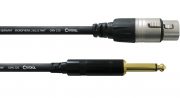 Cordial CCM FP