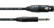 Cordial CPM FP