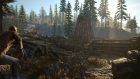 Days Gone 3