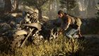 Days Gone 7