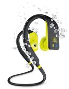 JBL Endurance Dive