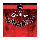 Savarez 510 AR