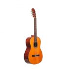 Gewa VGS Classic Student Narural