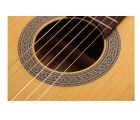 CORT AC100 Open Pore 2