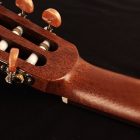 CORT AC100 Open Pore 4