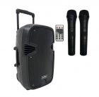 SOUNDKING LS 331