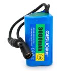QiSuo QS1203W 12V 3Ah