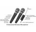 DPUS DS-02S DOUBLE WIRELESS KARAOKE 2