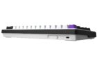 HATOR HK-60-WV Hellyberry Switch White-Violet 3