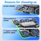 Ice Coorel Q-10 5