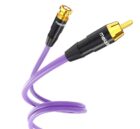Melodika Purple Coaxial Cable MDBN-R15 2