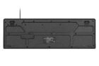 2E MK401 Black