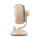 ARDESTO AviaFan FT-F3600BG Beige