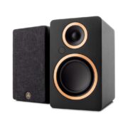 Argon Audio FENRIS Active 4 Black