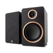 Argon Audio FENRIS Active 5 Black