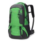 Voltronic Huwai 60L Green 2